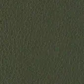Olive-green leather texture with irregular grain, displaying a consistent, subtly rough surface and diffused lighting across the frame.